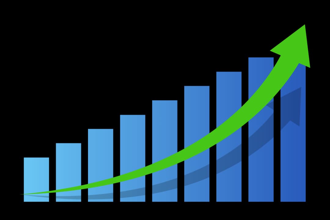 Statistics Website